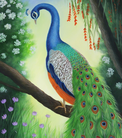 Peacock in forest