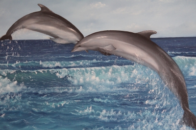 Sea waves and dolphin